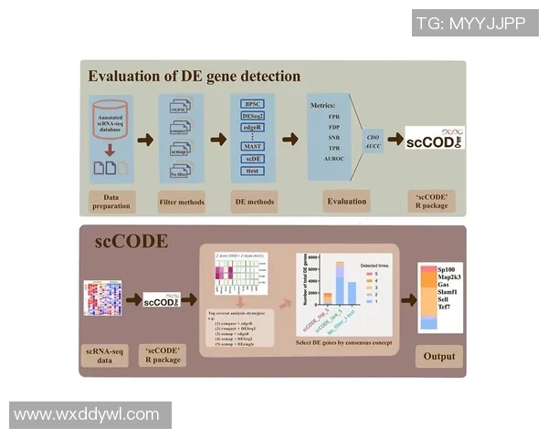 深圳排球队团队协作表现的数据分析与提升策略探讨